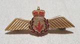 Insigna AVIATIE militara Internationala - Aviator - Pilot - Canada