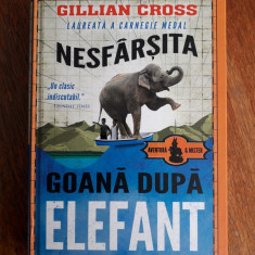 Goana dupa elefant + Ivan cel fara de seaman / R7P1F