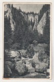 bnk cp Muntii Bucegi - Vedere - uzata