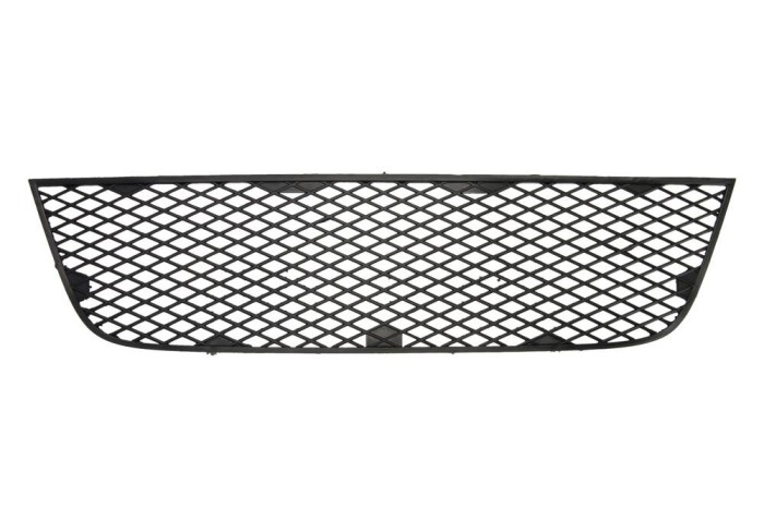 Grila bara fata Fiat Doblo (119/223), 01.2006-01.2010, 71740733, 304127