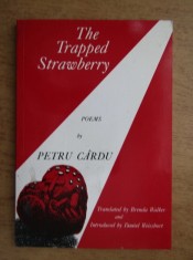 Petru Cardu - The trapped strawberry foto