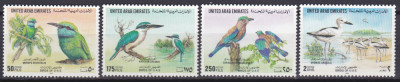 DB1 Fauna Pasari Emiratele Arabe Unite 4 v. MNH foto