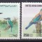 DB1 Fauna Pasari Emiratele Arabe Unite 4 v. MNH