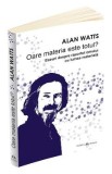 Oare materia este totul? - Alan Watts