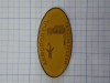 Insigna militara aeroportul Mihai Kogalniceanu.