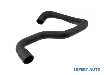 Furtun aer Nissan PRIMASTAR Van (X83) 2001-2016 #1 foto