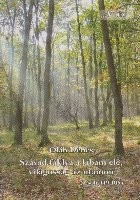 Szavad faklya a labam ele, vilagossag az utamon foto