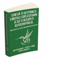 Cum sa-ti gestionezi emotiile coplesitoare si sa-ti recapeti autocontrolul. Ghidul practic de terapie comportamentala dialectica - Matthew McKay, Jeff