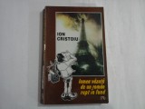 ION CRISTOIU (autograf si dedicatie) - LUMEA VAZUTA DE UN ROMAN RUPT IN FUND