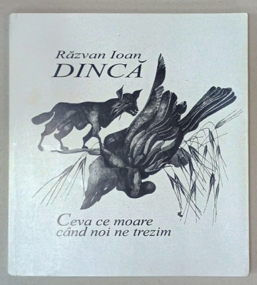 CEVA CE MOARE CAND NOI NE TREZIM , versuri de RAZVAN IOAN DINCA , desene de MIRCIA DUMITRESCU , 2011 , DEDICATIE * foto