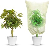Husa de protectie pentru plante impotriva inghetului Aohcae, textil, alb, 60 x 80 cm