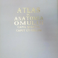 ATLAS DE ANATOMIA OMULUI.CAPUL SI GATUL/CAPUT ET COLLUM-ION PASAT 1995