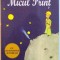 MICUL PRINT de ANTOINE DE SAINT EXUPERY , CU ILUSTRATIILE AUTORULUI