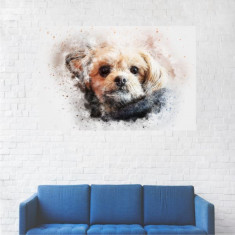 Tablou Canvas, Pictura Caine Samoyed - 60 x 90 cm foto