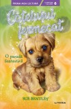 Cumpara ieftin Catelusul fermecat, O parada fantastica, Sue Bentley