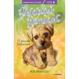 Catelusul fermecat, O parada fantastica, Sue Bentley