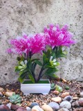 Copacel decorativ model astilbe roz, Oem