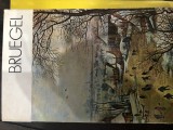 Bruegel Ag