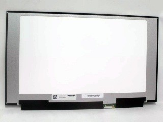 Ecran LQ156T1JW03 pentru Razer RZ09-0409KW03 foto