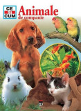 Cumpara ieftin Animale de companie - Hardcover - Mihai Moroiu - RAO