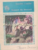 Stejarul din Borzesti - Eusebiu Camilar, Biblioteca Scolarului, Editura Ion Creanga, 1983, Roman
