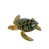 Figurina - Broasca testoasa verde | Safari