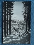 319 - Sinaia - Vedere de pe Piscul Cainelui / RPR / carte postala circulata