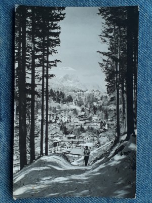 319 - Sinaia - Vedere de pe Piscul Cainelui / RPR / carte postala circulata foto