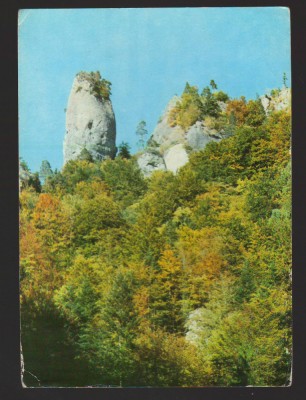 CPIB 18772 CARTE POSTALA -OLANESTI. VALEA OLANESTIULUI foto
