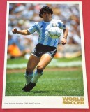 Foto fotbal - DIEGO ARMANDO MARADONA (format mare 21x15 cm) - WORLD SOCCER