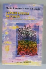Centrii subtili de forta - Shalila Sharamon , Bodo J.Baginski foto