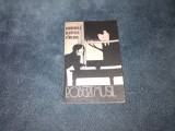 ROBERT MUSIL - RATACIRILE ELEVULUI TORLESS