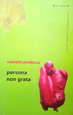PERSONA NON GRATA - VALENTIN PREDESCU foto