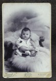 Fotografie Vintage Carton, Bebelus pe Fotoliu, Secol XIX, Alb-Negru, Dimensiune 16x11, Fotograf Zsunk, Carte Arta