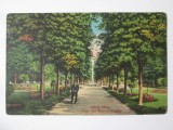 Carte postala Lacul Sarat(Braila):Aleea din parcul englez nenecirc.anii 20