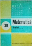 Ion D. Ion - Matematica. Algebra. Manual pentru clasa a XII-a