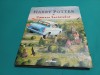 HARRY POTTER ȘI CAMERA SECRETELOR * J.R. ROWLING / ED. ILUSTRATĂ / 2022 * 300