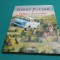 HARRY POTTER ȘI CAMERA SECRETELOR * J.R. ROWLING / ED. ILUSTRATĂ / 2022 * 300