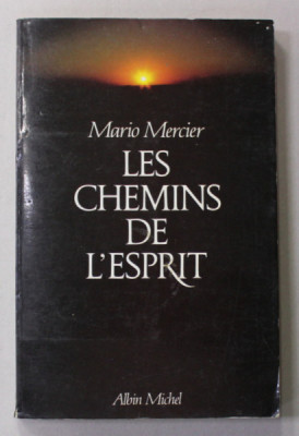 LES CHEMINS DE L &amp;#039;ESPRIT - VOYAGES DANS LES ESPACES INTERIEURS par MARIO MERCIER , 1989 foto