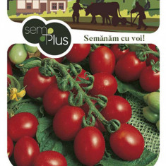 Seminte de tomate cherry Principe Borghese 05 grame SemPlus
