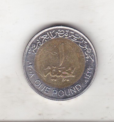 bnk mnd Egipt 1 lira 2008 bimetal foto