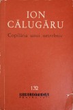 Copilaria unui netrebnic - Ion Calugaru (1962), roman