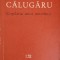 COPILARIA UNUI NETREBNIC-ION CALUGARU-245360
