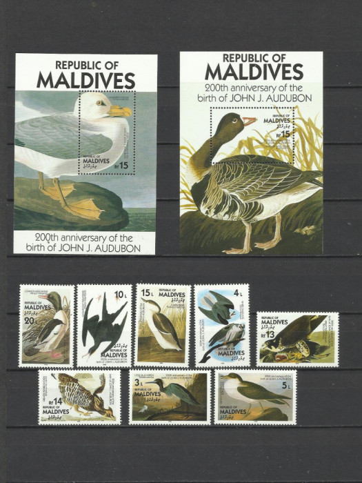 MALDIVES 1996 FAUNA PASARI AUDUBON