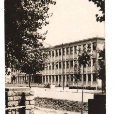 CPIB 21619 - CARTE POSTALA - GIURGIU. POLICLINICA