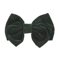 Clama de par cu funda verde