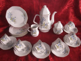 SET SERVICIU CAFEA SI TORT PORTELAN WINTERLING BAVARIA - FLORI DE NU MA UITA