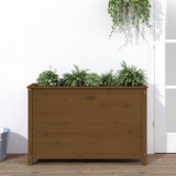 Cumpara ieftin Strat &icirc;nălțat grădină maro miere 119,5x40x78 cm lemn masiv pin