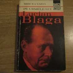 Mircea Vaida - Pe urmele lui Lucian Blaga