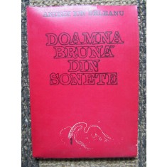 DOAMNA BRUNA DIN SONETE-ANDREI ION DELEANU